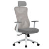SILLA ERGONOMICA ACTECK (AC-937245) FLOE PRO EC737,INCLINACION 135,PESO 120KG,PISTON CLASE 4,BLANCO