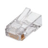 PLUG RJ45 QIAN (NW6100) BOTE CON 100 PZAS, PLUG UTP RJ45 CAT6 - Image 2